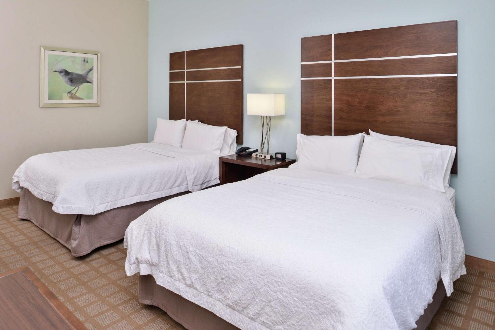 Hampton Inn And Suites Hutto Exteriér fotografie